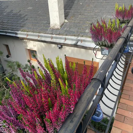 Champoiseau Hébergement de vacances