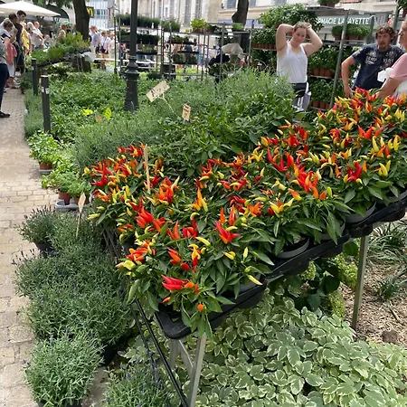 Tatil Evi Champoiseau Tours