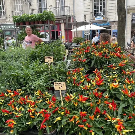 Champoiseau Tours