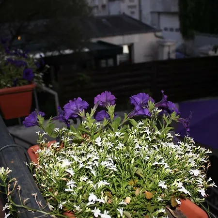 Champoiseau Tatil Evi