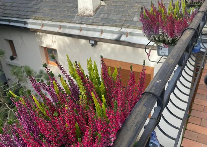 Champoiseau Dom wakacyjny