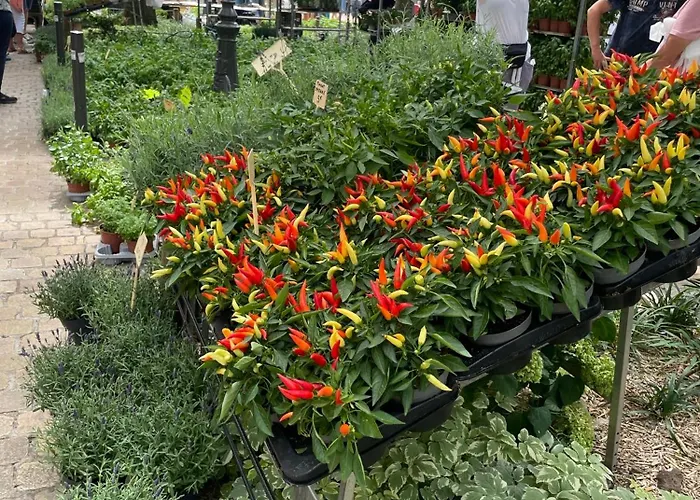 Dom wakacyjny Champoiseau Tours